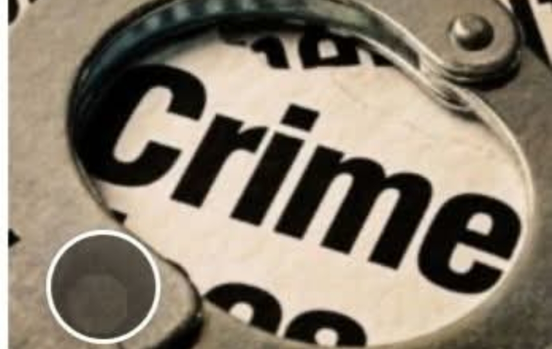 लूट व मारपीट की झूठी सूचना पर नापासर पुलिस की कराई परेड,झूठी सूचना फैलाने पर चार लोगों को पुलिस ने पकड़ा