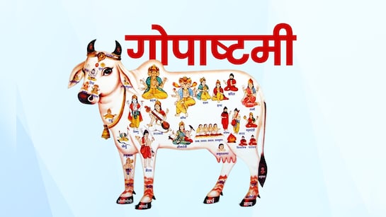 कल गोपाष्टमी पर गौशालाओं में होगा गौ पूजन,संत श्री सेवाराम गौशाला,नापासर गौरक्षा सेवा समिति (एनजी ग्रुप) गुसाँईसर रोड़ और श्री राधा कृष्ण गौशाला देशनोक रोड़ पर होंगे गौ महिमा पर प्रवचन सहित धार्मिक आयोजन