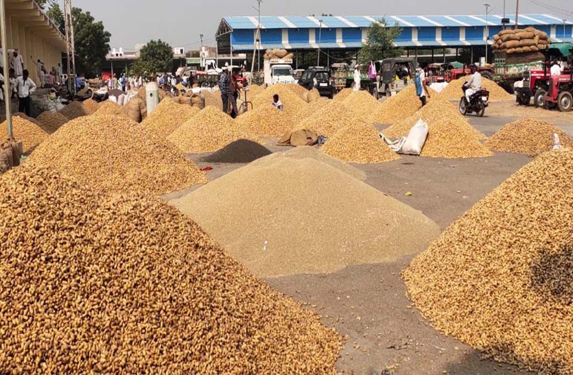 नापासर गौण कृषि मंडी में इस बार नही होगी मूंगफली की सरकारी खरीद,केंद्र को किया बन्द,बीस गाँवो के किसानों में फैला रोष